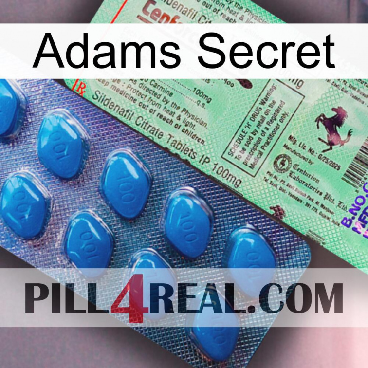 Adams Secret new02